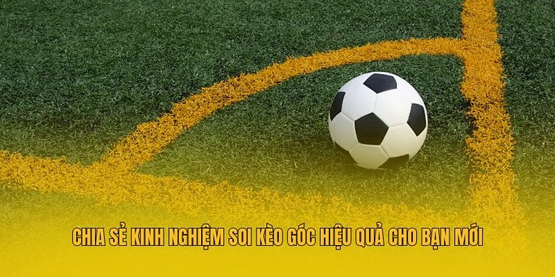 Soi Kèo Góc - Tiết Lộ Kinh Nghiệm Cá Độ Bóng Đá Hiệu Quả 3 Chia sẻ kinh nghiệm soi kèo góc hiệu quả cho bạn mới